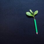 yura batiushyn Y7JEzRiGYqo unsplash